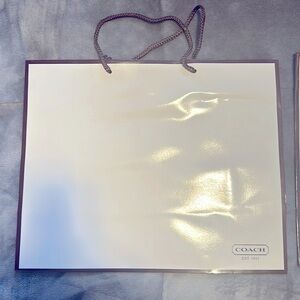 Coach paper bags … 13L inches by 16 inches wide .. I have two brown straps